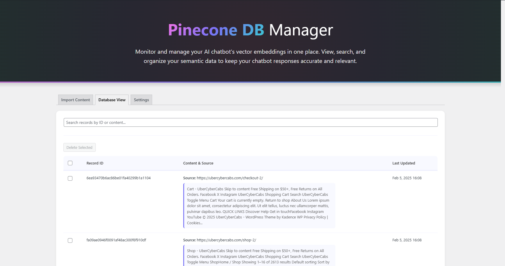 Pinecone DB Manager